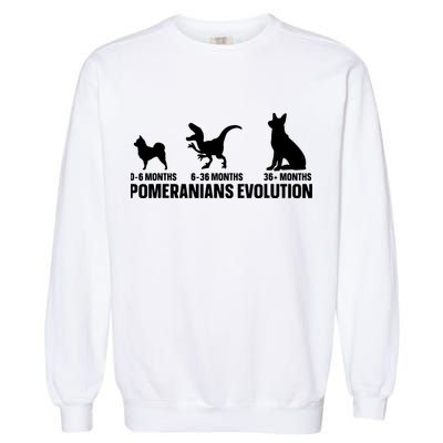 Pomeranians Evolution Design For A Pomeranian Owner Garment-Dyed Sweatshirt