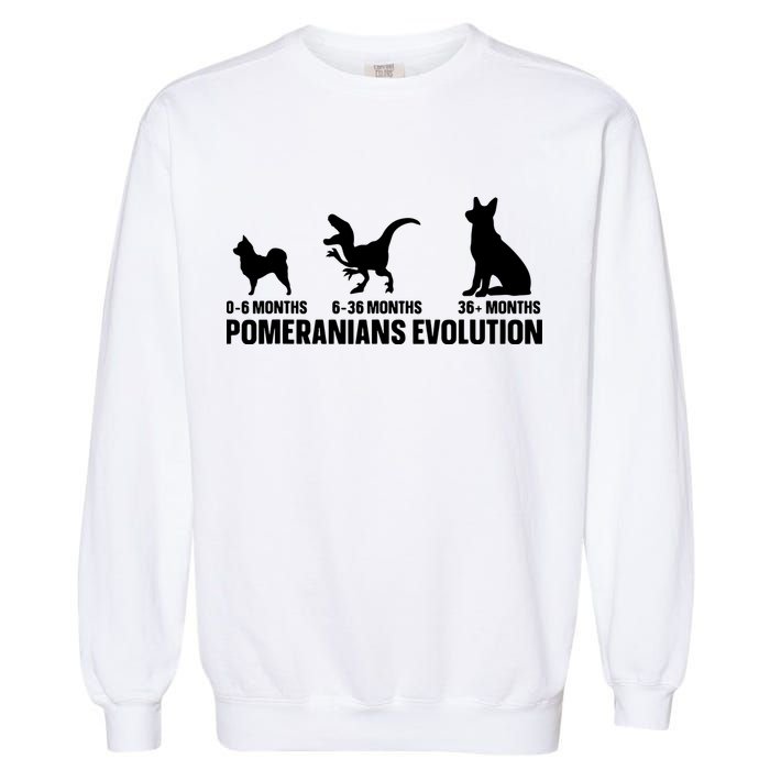Pomeranians Evolution Design For A Pomeranian Owner Garment-Dyed Sweatshirt