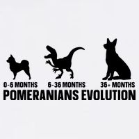 Pomeranians Evolution Design For A Pomeranian Owner Garment-Dyed Sweatshirt