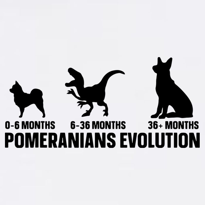 Pomeranians Evolution Design For A Pomeranian Owner Garment-Dyed Sweatshirt