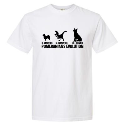 Pomeranians Evolution Design For A Pomeranian Owner Garment-Dyed Heavyweight T-Shirt