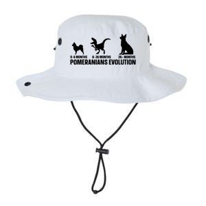 Pomeranians Evolution Design For A Pomeranian Owner Legacy Cool Fit Booney Bucket Hat