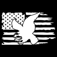 Patriotic Eagle Distress Flag USA City Backpack