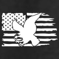 Patriotic Eagle Distress Flag USA 11oz C Handle Ceramic Mug