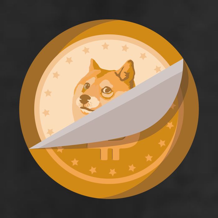 Peeled Off DogeCoin Adult Drive Performance Visor