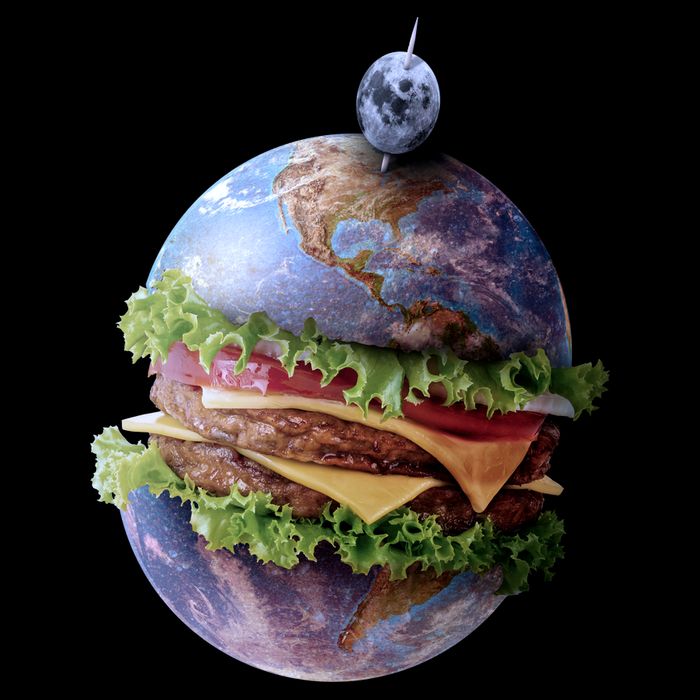 Planet Earth Hamburger Bag