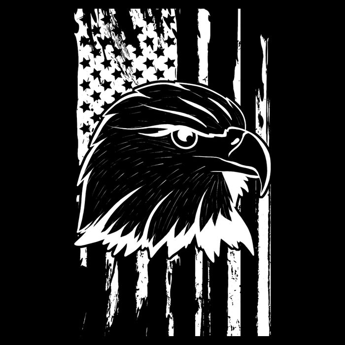 Patriotic Eagle Head American Flag Black City Backpack