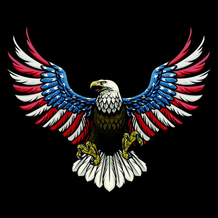 Patriotic Eagle Illustration City Backpack