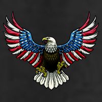 Patriotic Eagle Illustration 11oz C Handle Ceramic Mug