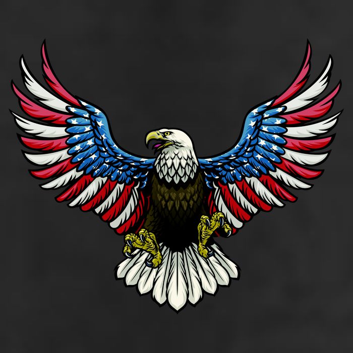 Patriotic Eagle Illustration 11oz C Handle Ceramic Mug
