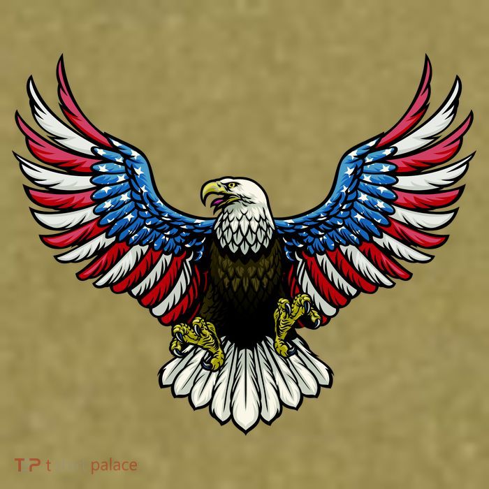 Patriotic Eagle Illustration Garment-Dyed Women's Muscle Tee