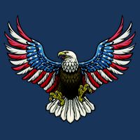 Patriotic Eagle Illustration 7 Panel Mesh Trucker Snapback Hat