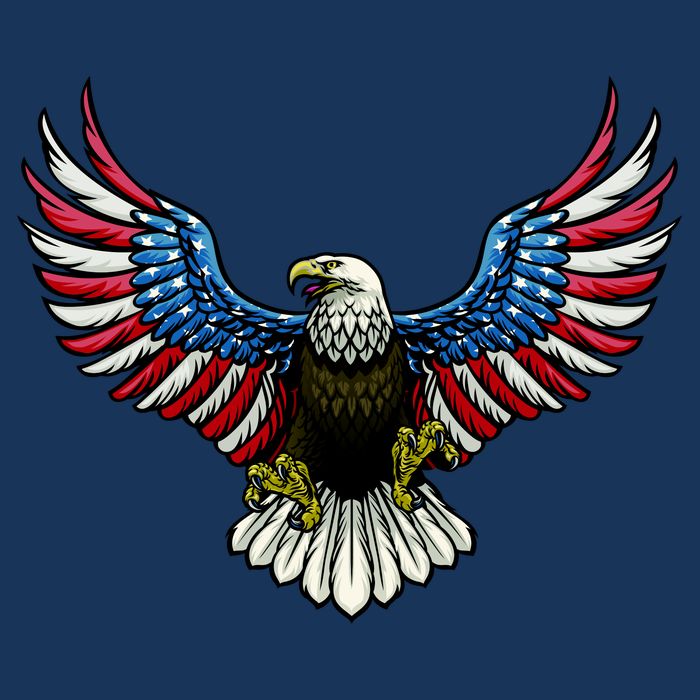Patriotic Eagle Illustration Flat Bill Trucker Hat