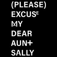 PEMDAS Please Excuse My Dear Aunt Sally Flexfit Unipanel Trucker Cap