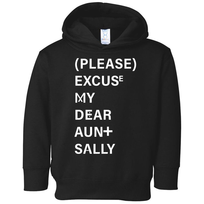 PEMDAS Please Excuse My Dear Aunt Sally Toddler Hoodie