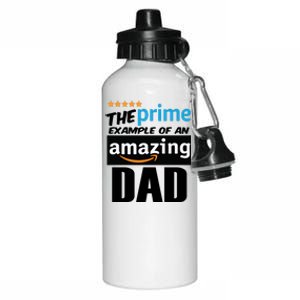 Prime Example Of An Amazing Dad Cool Fathers Day Gift Aluminum Water Bottle