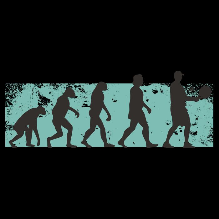 Pickleball Evolution Premium T-Shirt