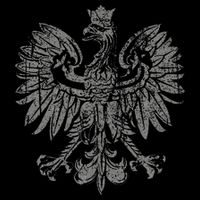 Polish Eagle Poland Coat Of Arms Polish Pride Retro Flag Flexfit Unipanel Trucker Cap