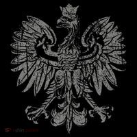 Polish Eagle Poland Coat Of Arms Polish Pride Retro Flag Toddler T-Shirt