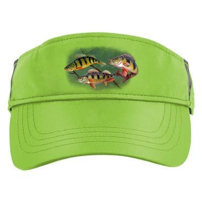 Perch Wild Life Fish Adult Drive Performance Visor