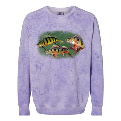 Perch Wild Life Fish Colorblast Crewneck Sweatshirt