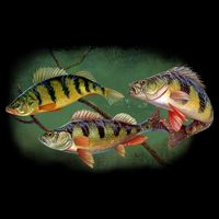 Perch Wild Life Fish Tall T-Shirt