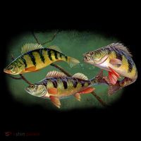 Perch Wild Life Fish Toddler T-Shirt