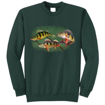 Perch Wild Life Fish Sweatshirt