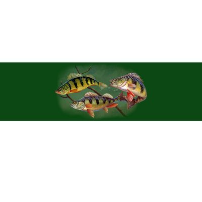 Perch Wild Life Fish Bumper Sticker