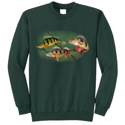 Perch Wild Life Fish Tall Sweatshirt