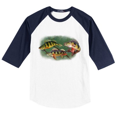 Perch Wild Life Fish Baseball Sleeve Shirt