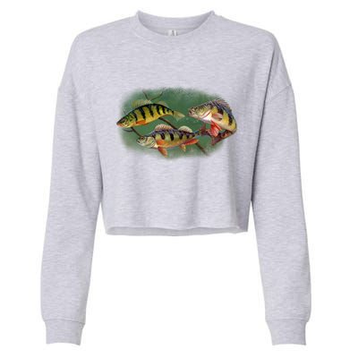 Perch Wild Life Fish Cropped Pullover Crew