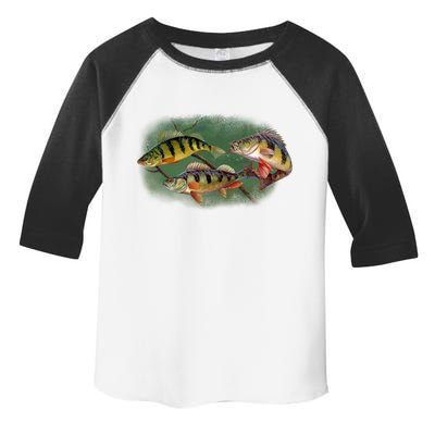 Perch Wild Life Fish Toddler Fine Jersey T-Shirt