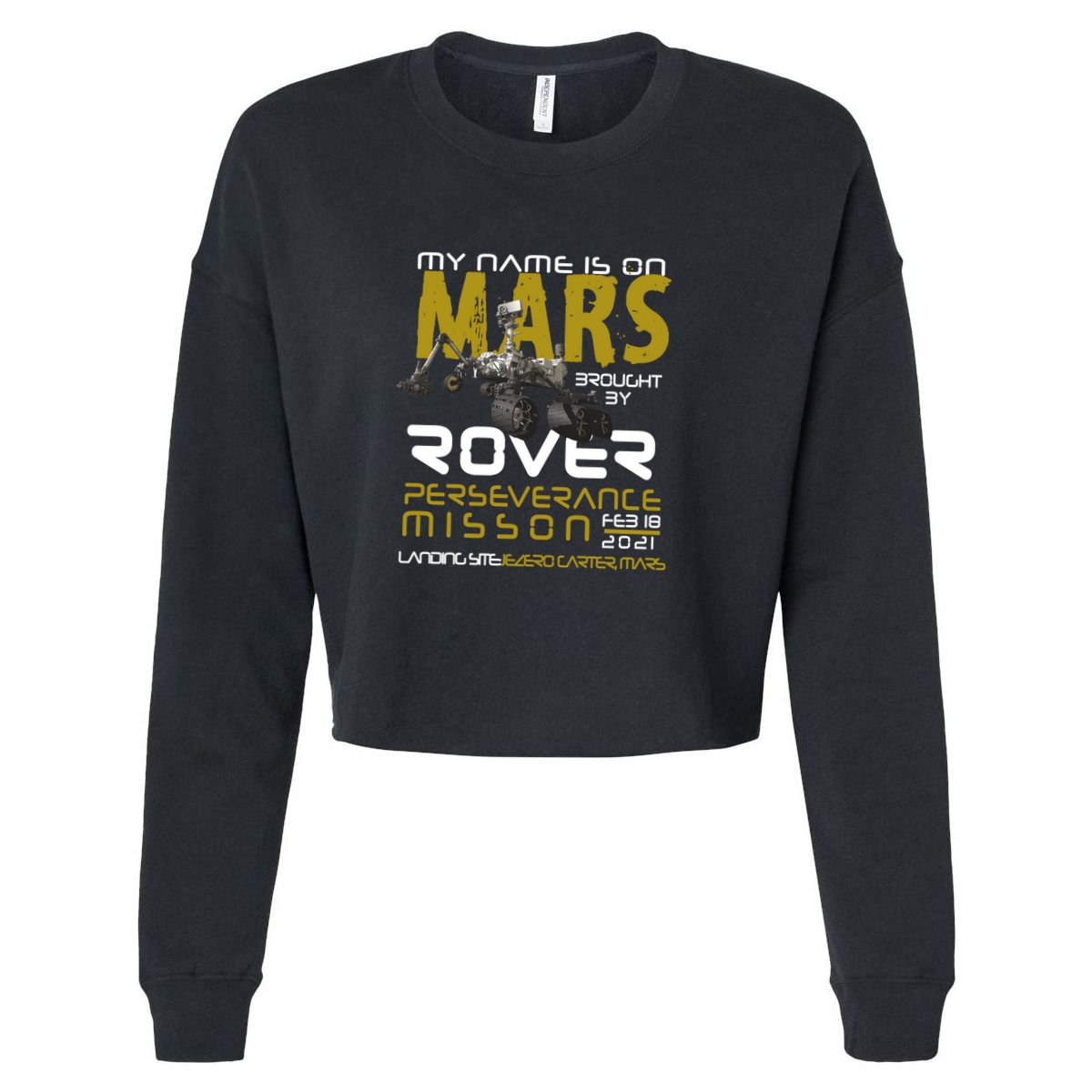 Perseverance Mars Rover Landing Apron