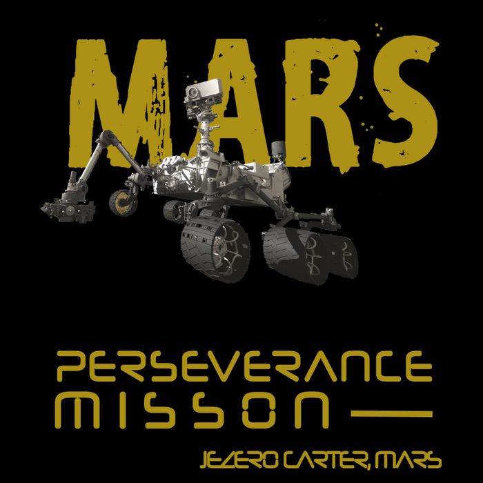 Perseverance Mars Rover Landing 16oz Travel Tumbler