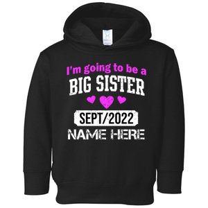 Personalize Big Sister Est Custom Year And Name  Toddler Hoodie