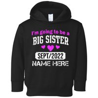 Personalize Big Sister Est Custom Year And Name  Toddler Hoodie