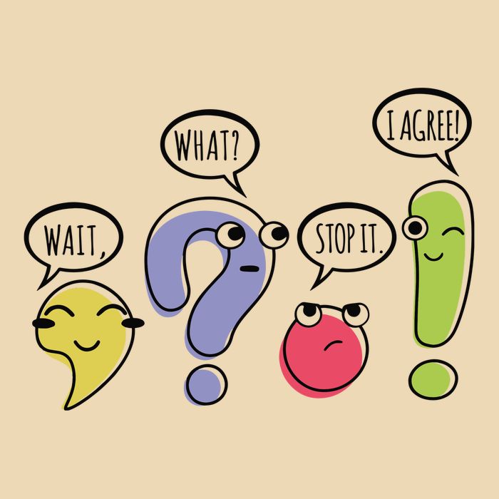 Punctuation English Teacher Gift Wait What Stop It Bag