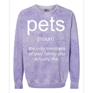 Pets Noun Members Of The Family You Like Colorblast Crewneck Sweatshirt