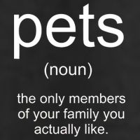 Pets Noun Members Of The Family You Like 7 Panel Mesh Trucker Snapback Hat