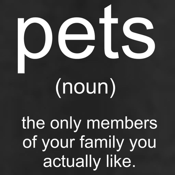 Pets Noun Members Of The Family You Like 7 Panel Mesh Trucker Snapback Hat