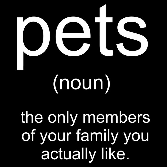 Pets Noun Members Of The Family You Like 16 in Basic Backpack
