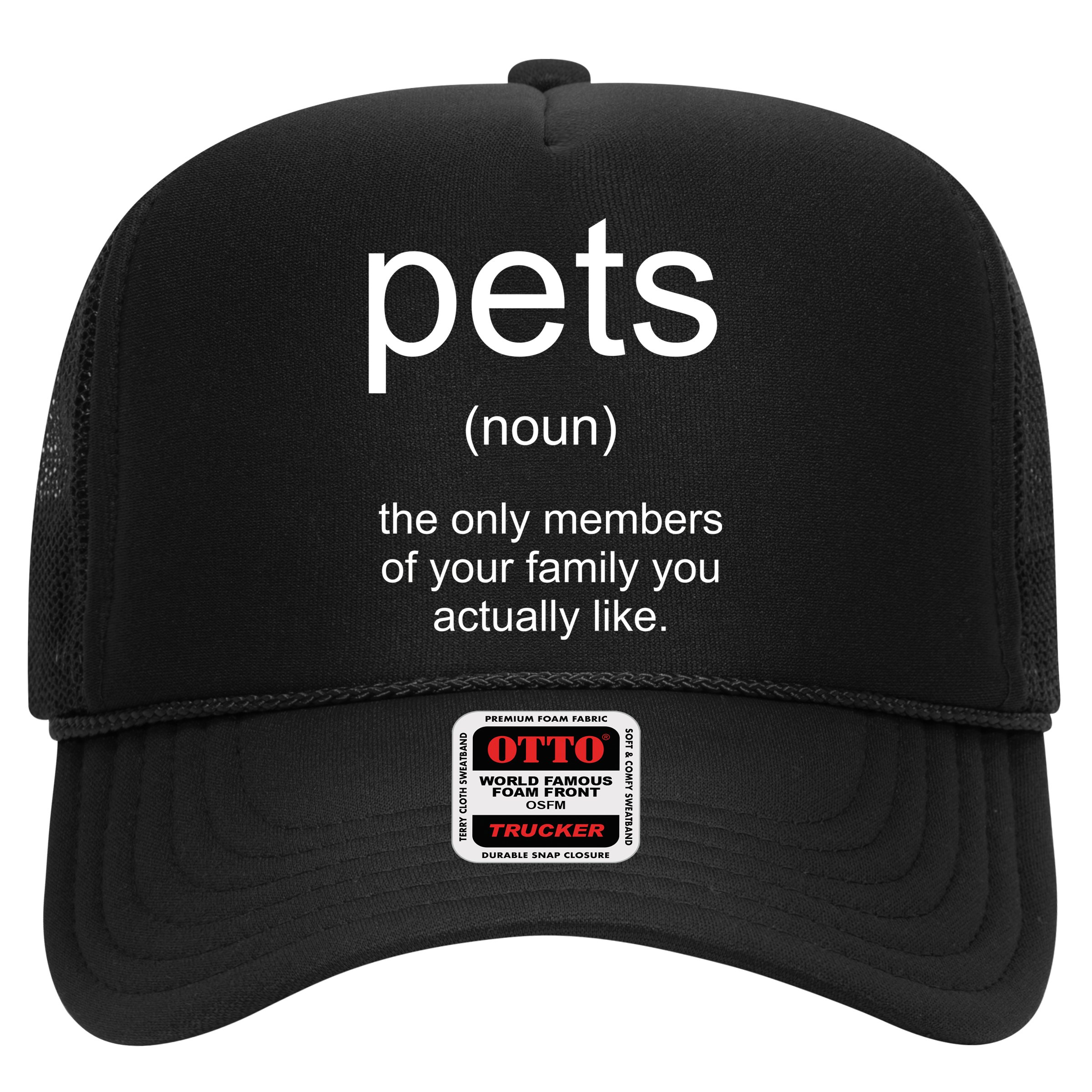 Pets Noun Members Of The Family You Like Hat
