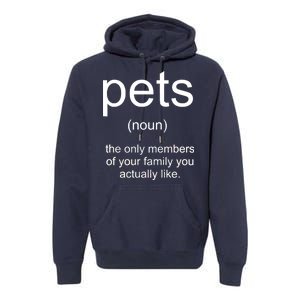 Pets Noun Members Of The Family You Like Premium Hoodie