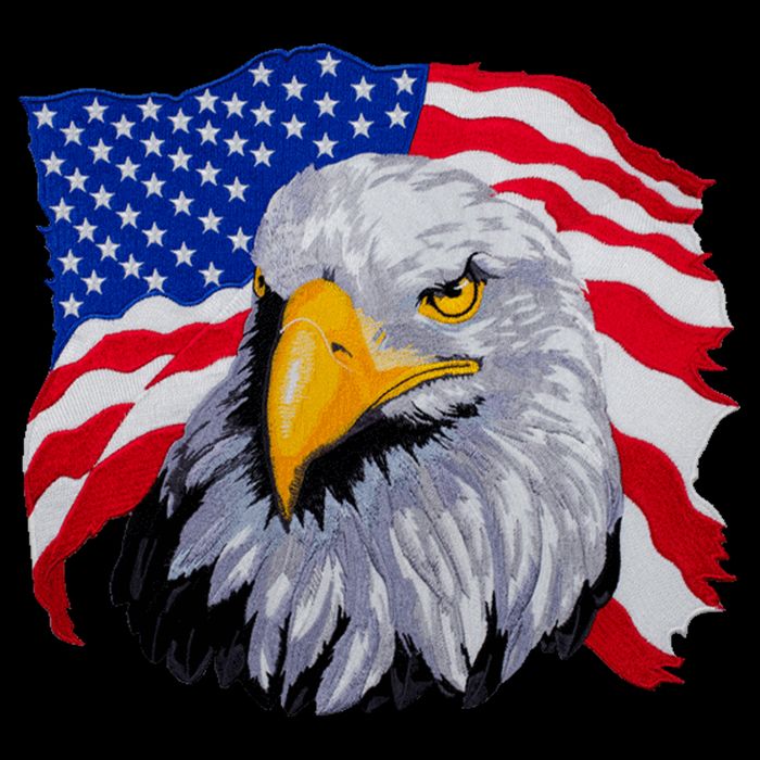Patriotic Eagle USA American Flag Cooling Performance Crew T-Shirt