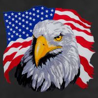 Patriotic Eagle USA American Flag 11oz C Handle Ceramic Mug