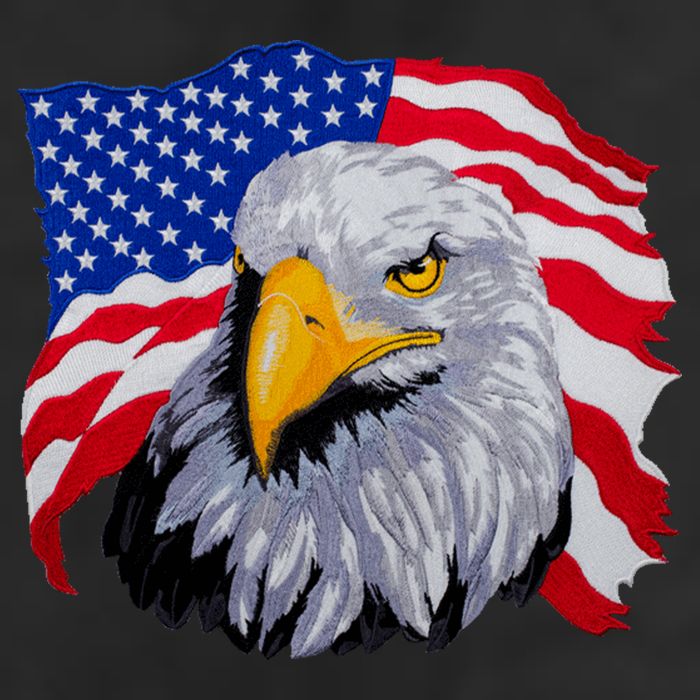 Patriotic Eagle USA American Flag 11oz C Handle Ceramic Mug