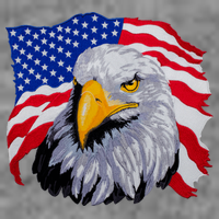 Patriotic Eagle USA American Flag Kids T-Shirt