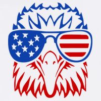 Patriotic Eagle USA American Flag Adult Drive Performance Visor