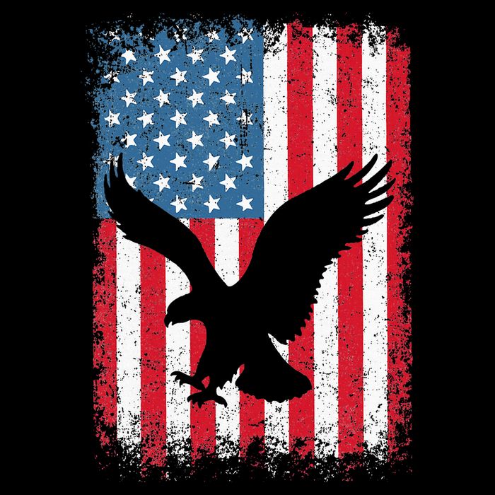 Patriotic Eagle Usa American Flag Sustainable Bucket Hat